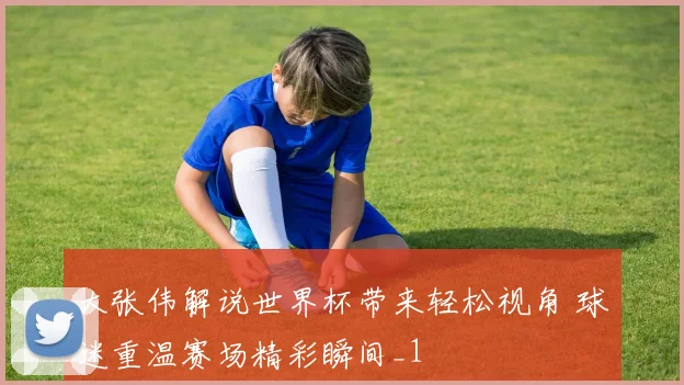 大张伟解说世界杯带来轻松视角 球迷重温赛场精彩瞬间_1