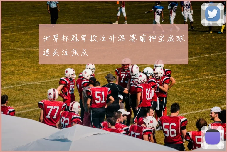 世界杯冠军投注升温 赛前押宝成球迷关注焦点