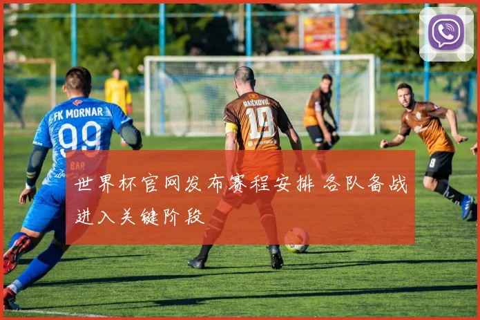 世界杯官网发布赛程安排 各队备战进入关键阶段