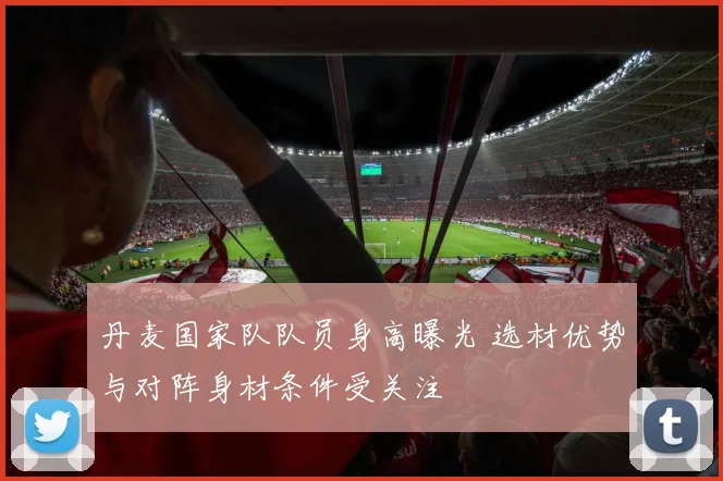 丹麦国家队队员身高曝光 选材优势与对阵身材条件受关注